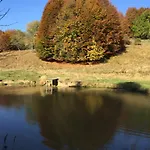 Il Riccio E Il Gufo 3*