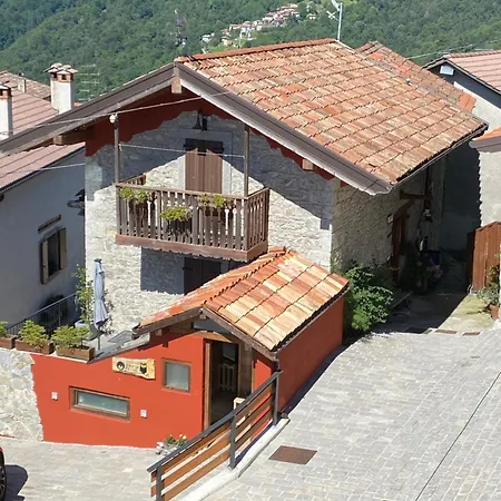 Il Riccio E Il Gufo 3*