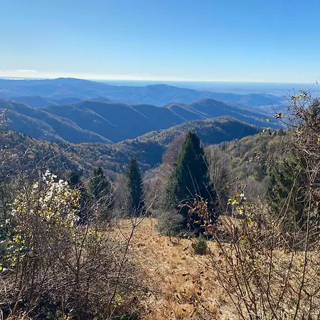 Maison d'hôtes Il Riccio E Il Gufo Cepletischis