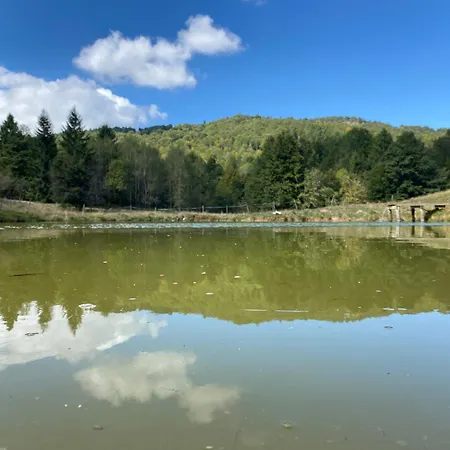 Il Riccio E Il Gufo Cepletischis