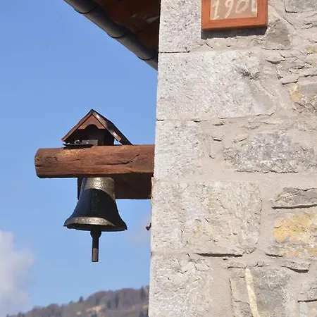 Il Riccio E Il Gufo