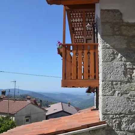 Il Riccio E Il Gufo Cepletischis