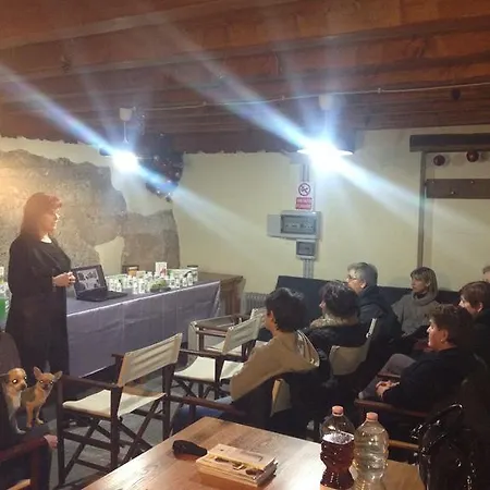 Il Riccio E Il Gufo Cepletischis