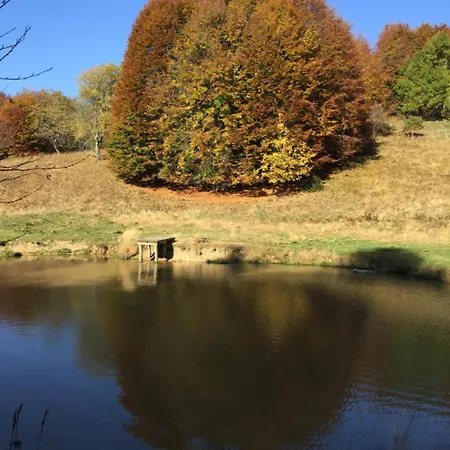 Il Riccio E Il Gufo 3*
