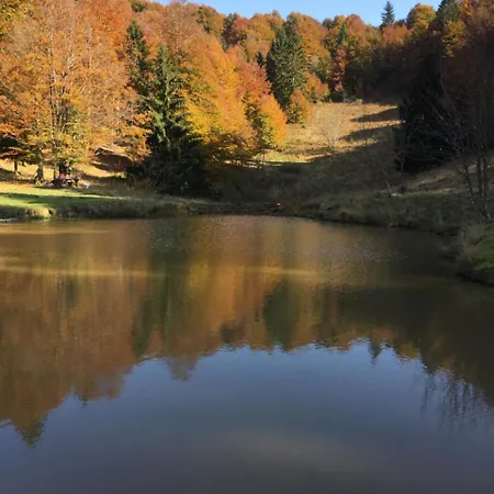 Il Riccio E Il Gufo Cepletischis