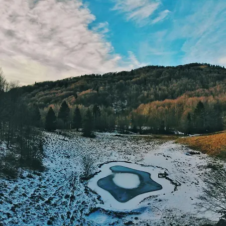 Il Riccio E Il Gufo Maison d'hôtes Cepletischis