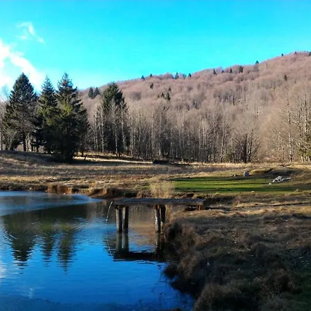 Il Riccio E Il Gufo Maison d'hôtes 3*