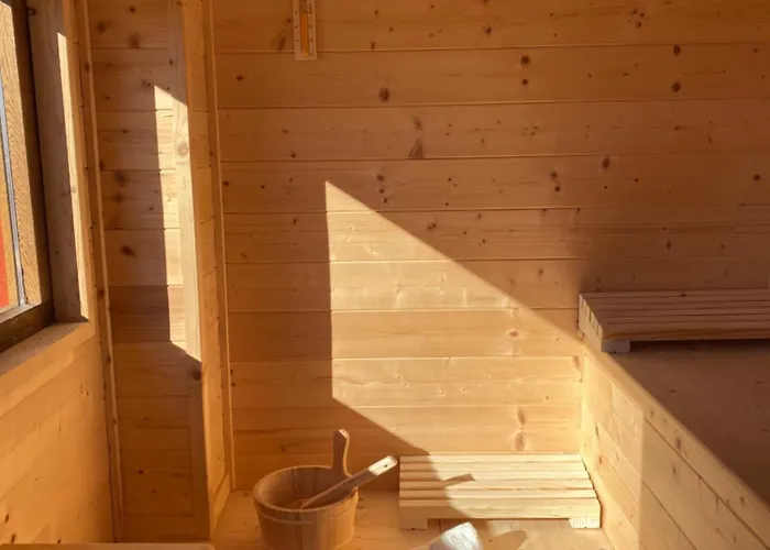 Il Riccio E Il Gufo Cepletischis