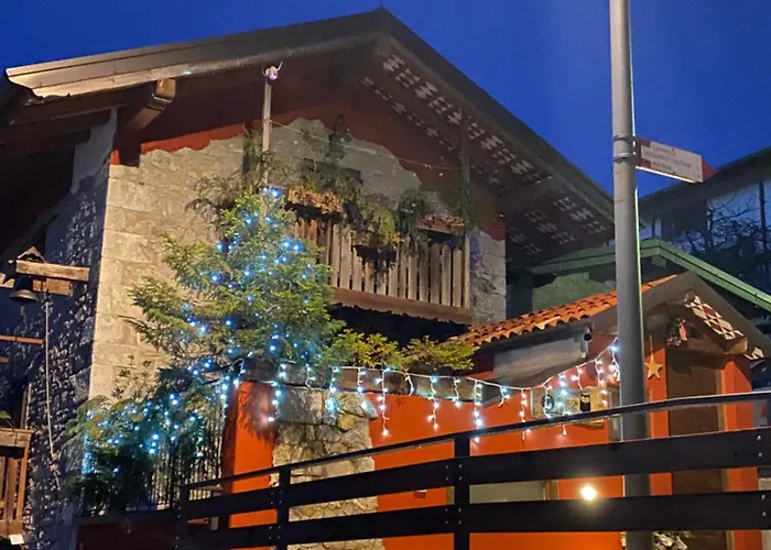 Il Riccio E Il Gufo 3*