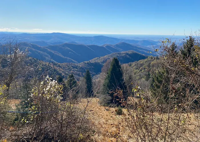 Vendégház Il Riccio E Il Gufo Cepletischis
