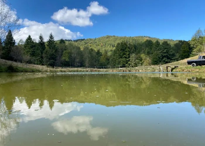 Il Riccio E Il Gufo Cepletischis