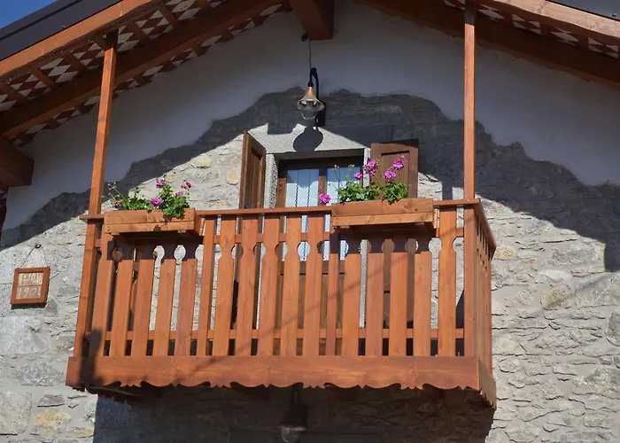 Il Riccio E Il Gufo Cepletischis