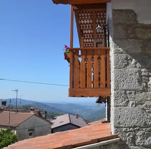 Il Riccio E Il Gufo Cepletischis