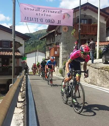 Il Riccio E Il Gufo Cepletischis