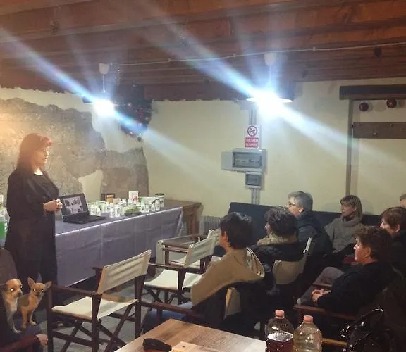 Il Riccio E Il Gufo Cepletischis