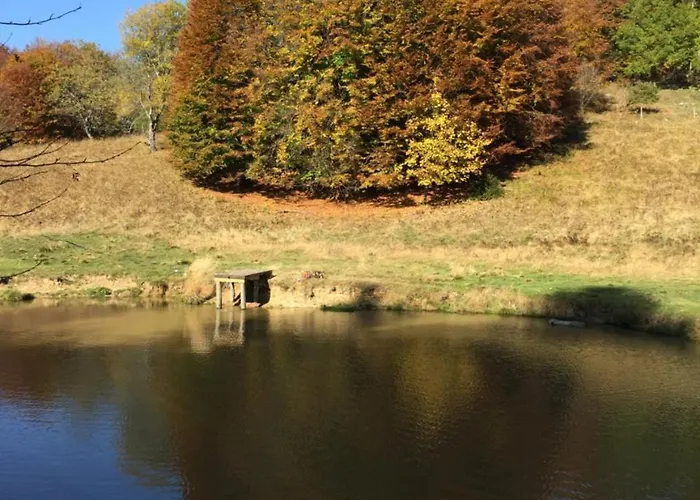 Il Riccio E Il Gufo 3*