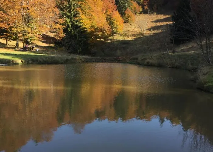 Il Riccio E Il Gufo Cepletischis