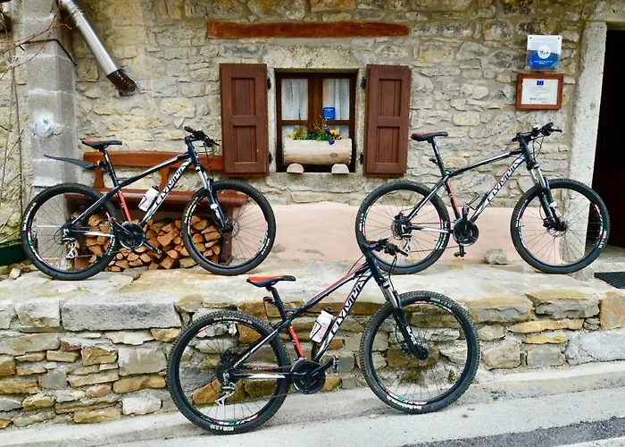 Il Riccio E Il Gufo Vendégház